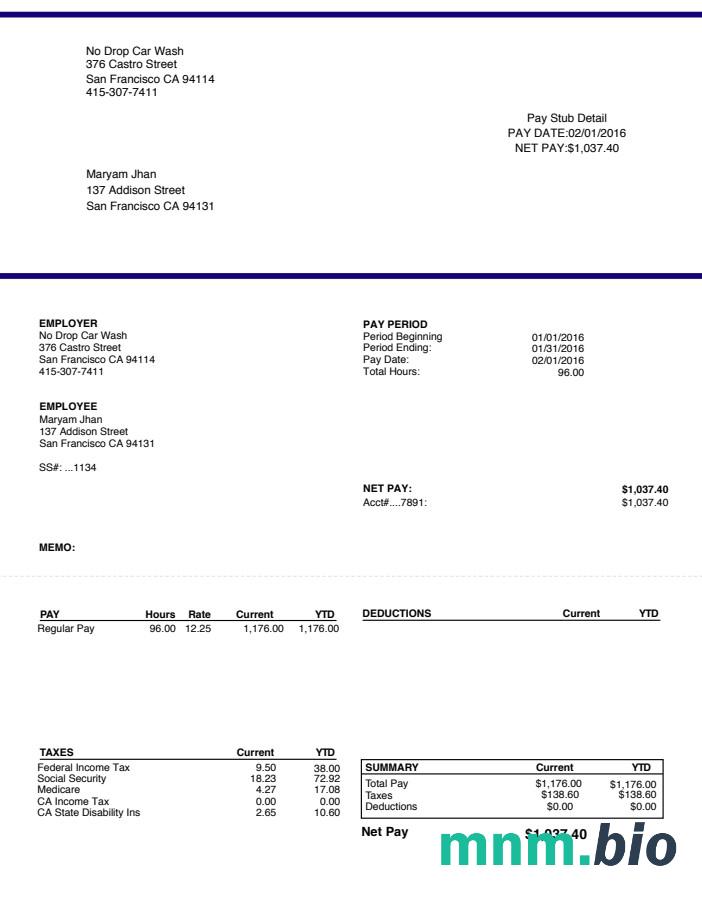 Myjnia Paystub Word i szablon PDF